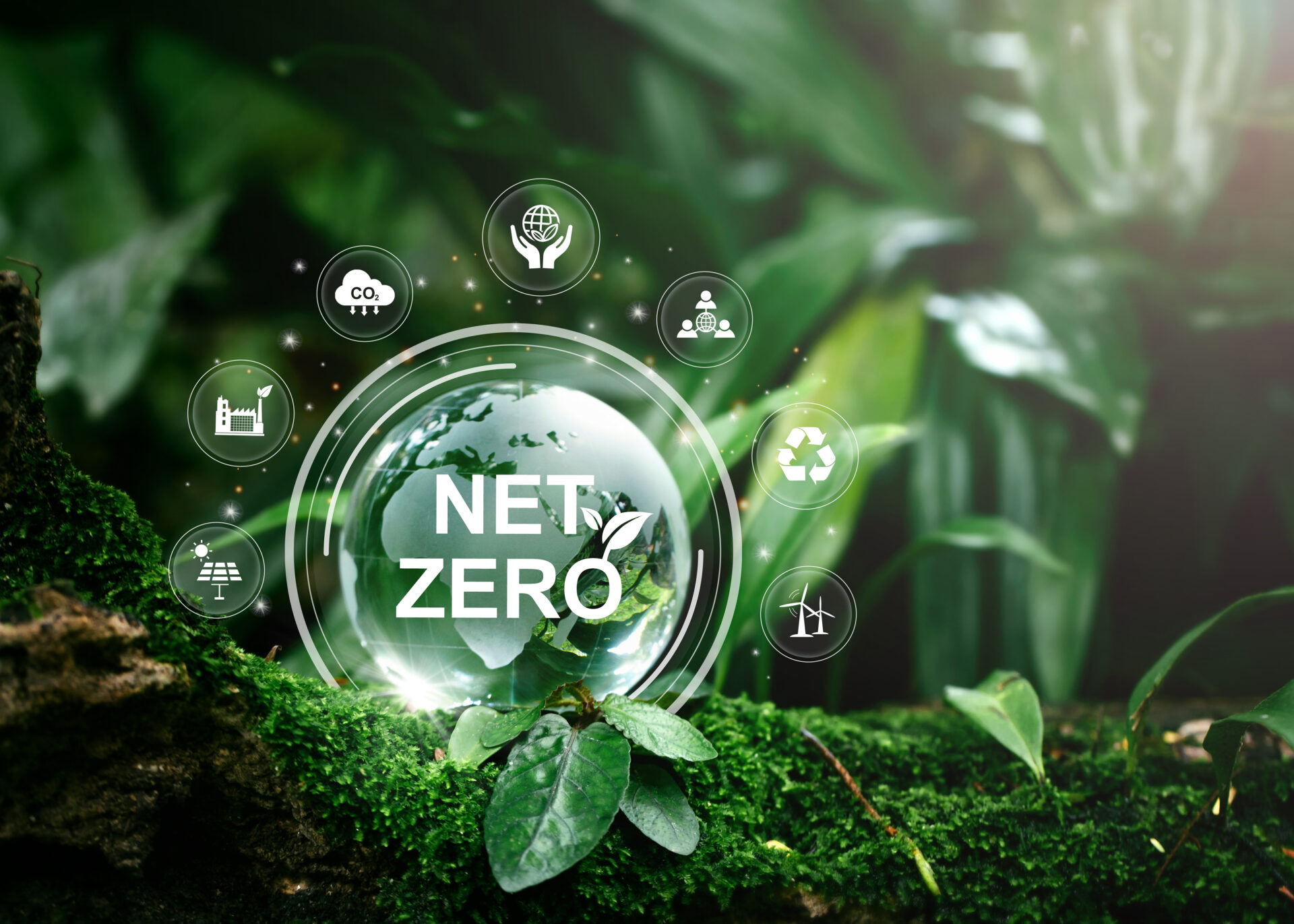 Net zero and carbon neutral concept.Globe Glass with Net zero icons In Green Forest With Sunlight. net zero greenhouse gas emissions target Climate neutral long term strategy on a green background.